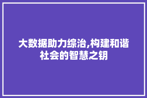 大数据助力综治,构建和谐社会的智慧之钥 头条优化