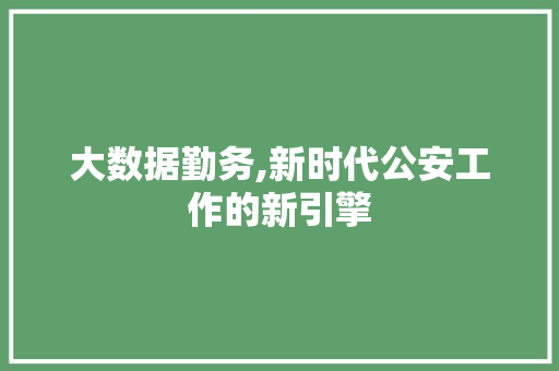 大数据勤务,新时代公安工作的新引擎 百度算法