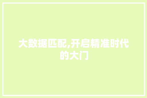 大数据匹配,开启精准时代的大门