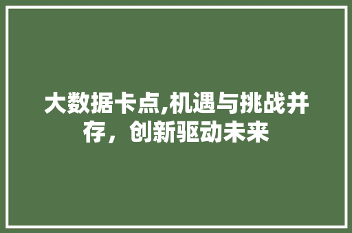 大数据卡点,机遇与挑战并存，创新驱动未来 百度算法