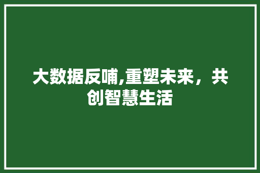大数据反哺,重塑未来，共创智慧生活 AI技术学习