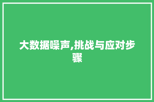 大数据噪声,挑战与应对步骤 360搜优化