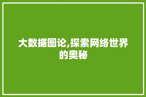 大数据图论,探索网络世界的奥秘 seo技术