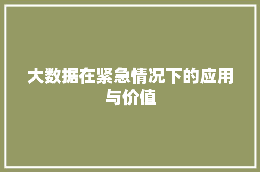 大数据在紧急情况下的应用与价值
