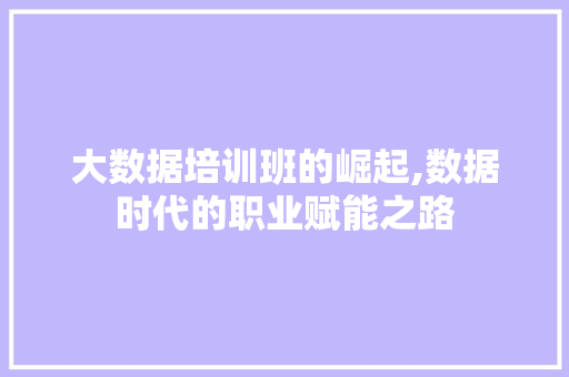 大数据培训班的崛起,数据时代的职业赋能之路 AI技术学习