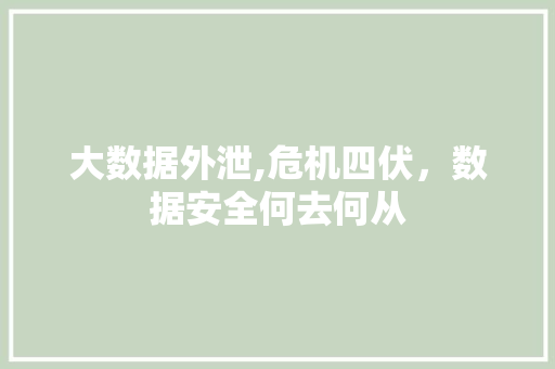 大数据外泄,危机四伏，数据安全何去何从