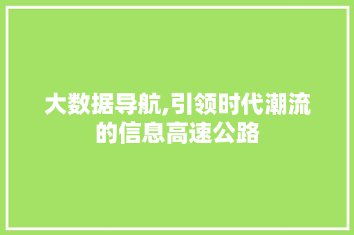 大数据导航,引领时代潮流的信息高速公路