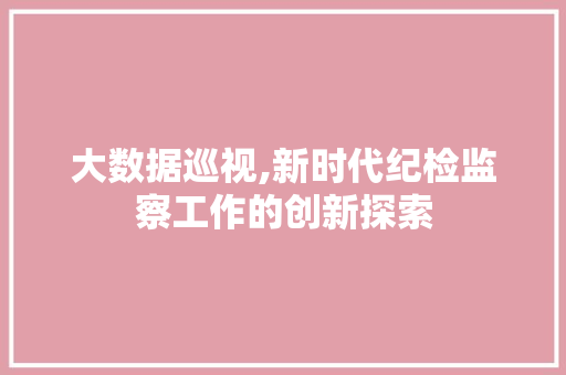 大数据巡视,新时代纪检监察工作的创新探索 头条优化