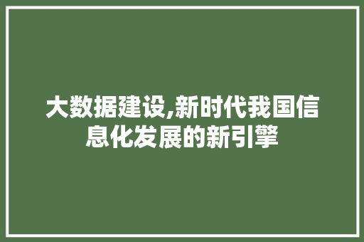 大数据建设,新时代我国信息化发展的新引擎
