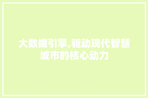 大数据引擎,驱动现代智慧城市的核心动力