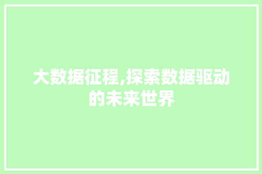 大数据征程,探索数据驱动的未来世界 小程序开发
