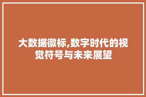 大数据徽标,数字时代的视觉符号与未来展望