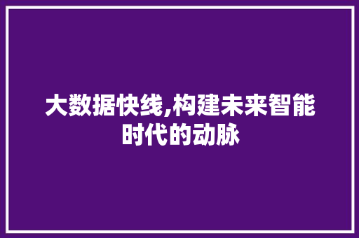 大数据快线,构建未来智能时代的动脉