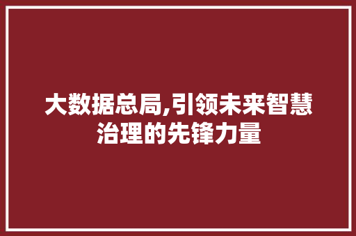 大数据总局,引领未来智慧治理的先锋力量 小程序开发