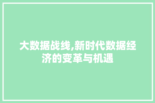 大数据战线,新时代数据经济的变革与机遇 网站优化