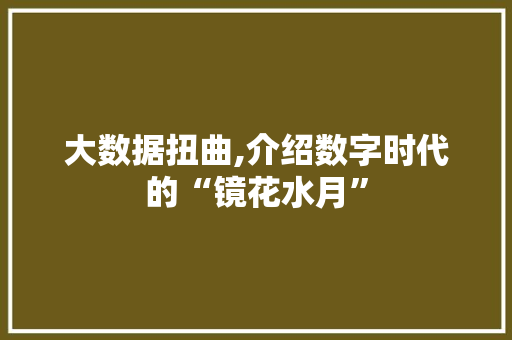 大数据扭曲,介绍数字时代的“镜花水月” 网站开发