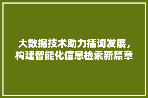 大数据技术助力插询发展，构建智能化信息检索新篇章