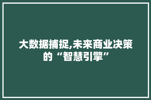 大数据捕捉,未来商业决策的“智慧引擎” 小程序开发 大数据捕捉,未来商业决策的“智慧引擎” 小程序开发