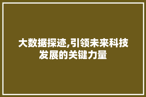 大数据探迹,引领未来科技发展的关键力量