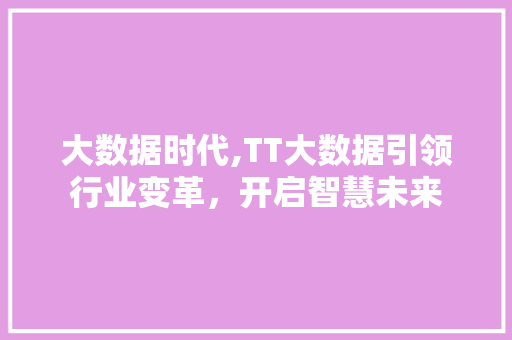 大数据时代,TT大数据引领行业变革，开启智慧未来