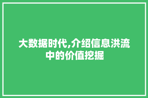 大数据时代,介绍信息洪流中的价值挖掘