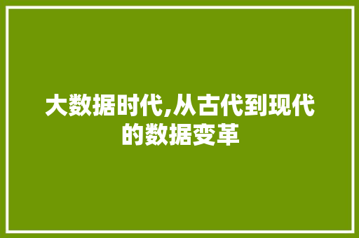 大数据时代,从古代到现代的数据变革 英文谷歌算法