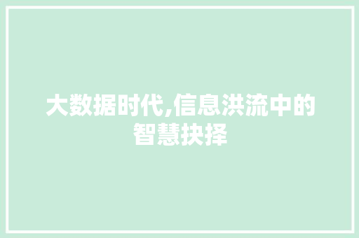 大数据时代,信息洪流中的智慧抉择 360搜优化
