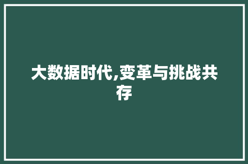 大数据时代,变革与挑战共存 360搜优化