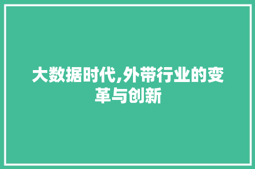 大数据时代,外带行业的变革与创新 头条优化