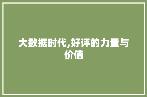 大数据时代,好评的力量与价值