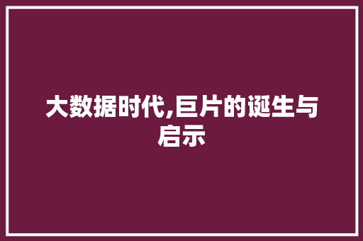 大数据时代,巨片的诞生与启示 网站优化