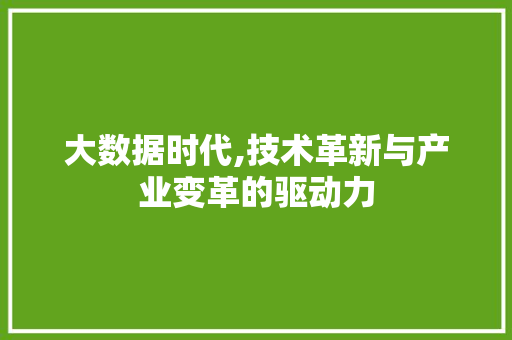 大数据时代,技术革新与产业变革的驱动力