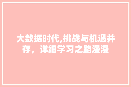 大数据时代,挑战与机遇并存，详细学习之路漫漫