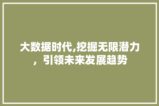 大数据时代,挖掘无限潜力，引领未来发展趋势 百度算法