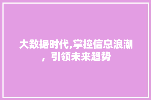 大数据时代,掌控信息浪潮，引领未来趋势