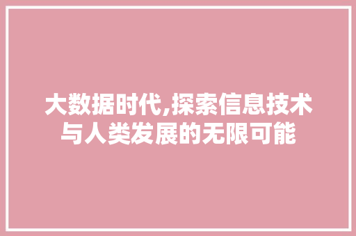 大数据时代,探索信息技术与人类发展的无限可能