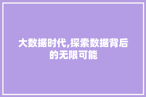 大数据时代,探索数据背后的无限可能
