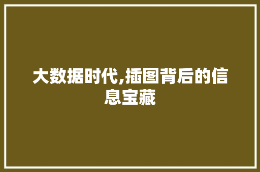 大数据时代,插图背后的信息宝藏