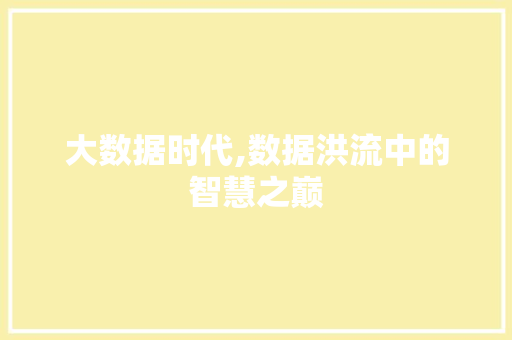 大数据时代,数据洪流中的智慧之巅