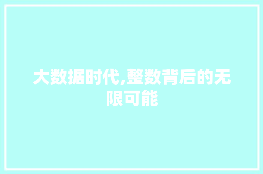 大数据时代,整数背后的无限可能