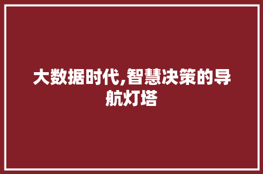 大数据时代,智慧决策的导航灯塔