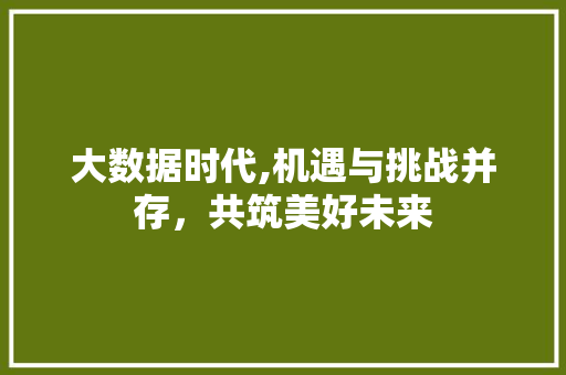 大数据时代,机遇与挑战并存，共筑美好未来
