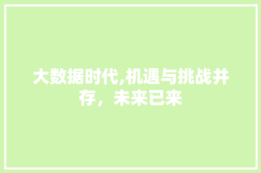 大数据时代,机遇与挑战并存，未来已来 网站开发