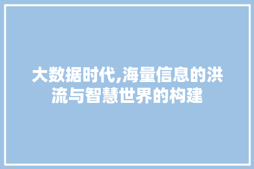 大数据时代,海量信息的洪流与智慧世界的构建 网站开发