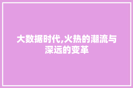 大数据时代,火热的潮流与深远的变革 头条优化