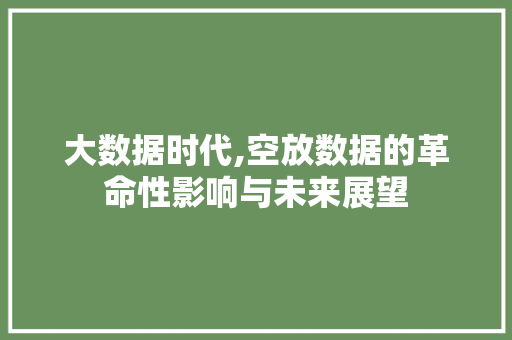 大数据时代,空放数据的革命性影响与未来展望 英文谷歌算法