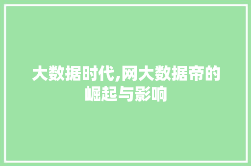 大数据时代,网大数据帝的崛起与影响