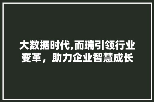 大数据时代,而瑞引领行业变革，助力企业智慧成长 英文谷歌算法