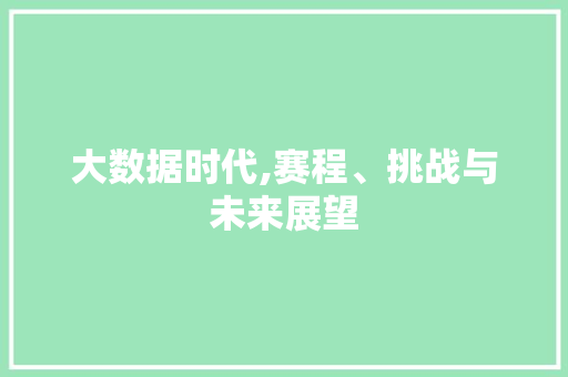 大数据时代,赛程、挑战与未来展望