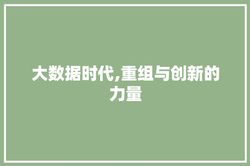 大数据时代,重组与创新的力量